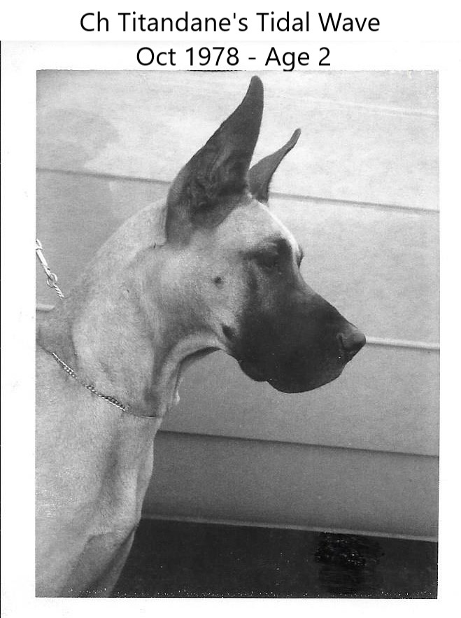 Glenda Age 2